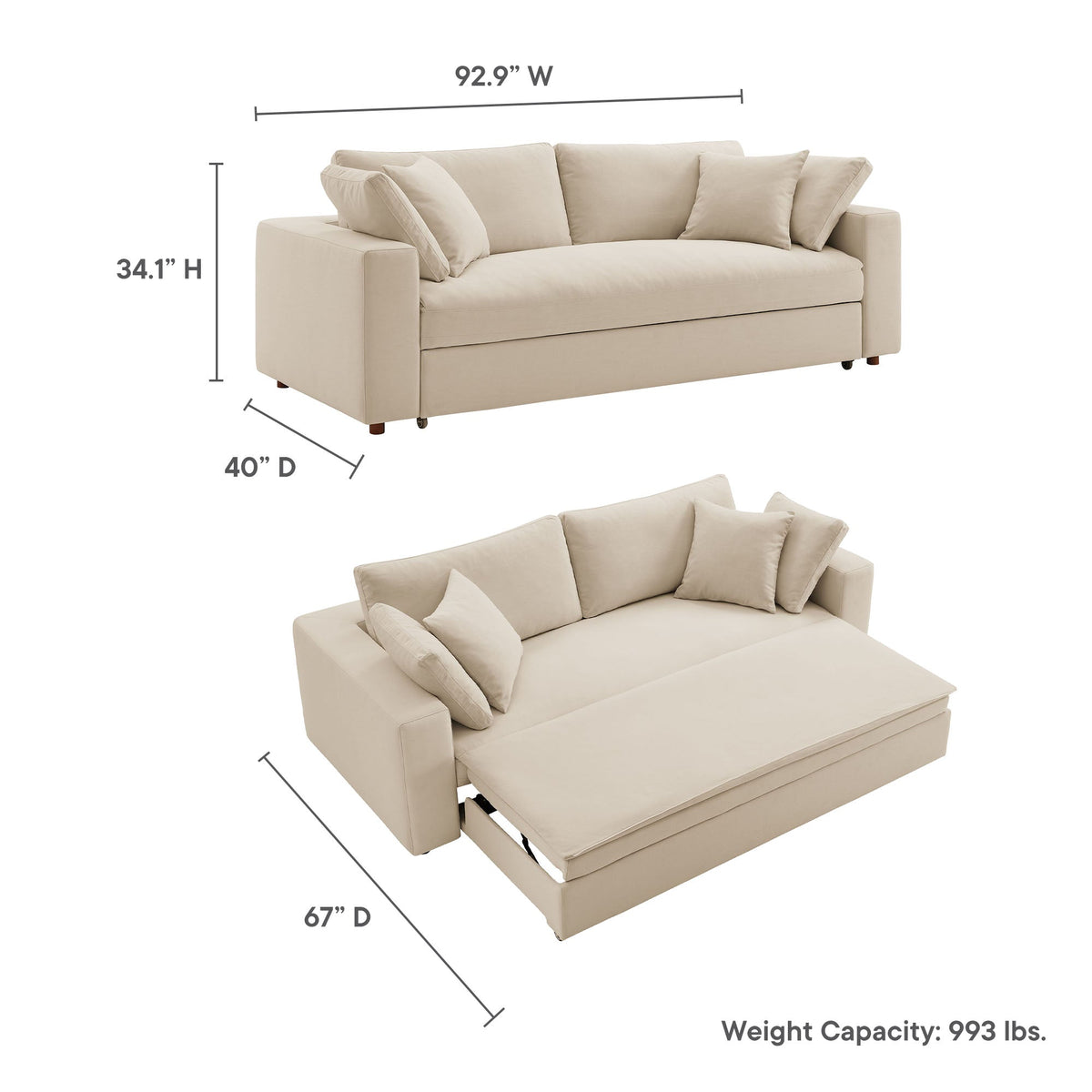 Commix Down Filled Overstuffed Sleeper Sofa by Modway